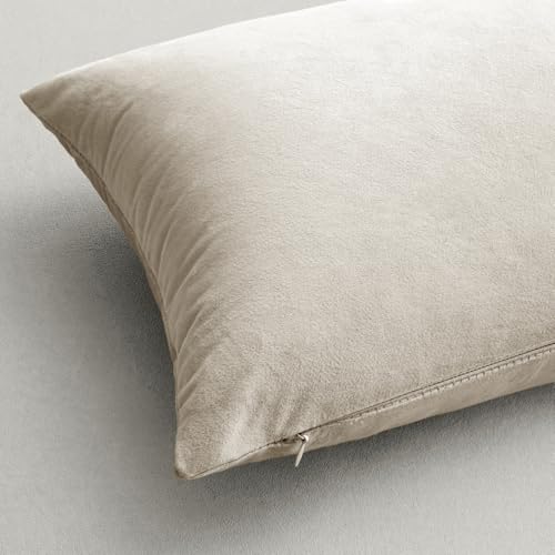 24x24 Inch Pack of 2 Euro Velvet Throw Pillow Covers Cream White (24" x 24" (Pack of 2) / Cream White)