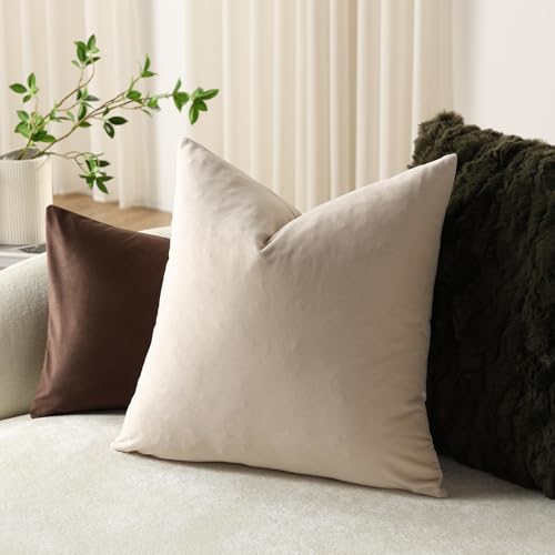 Throw Pillow Covers 20x20 Beige (Beige / 20" x 20" (Pack of 2))