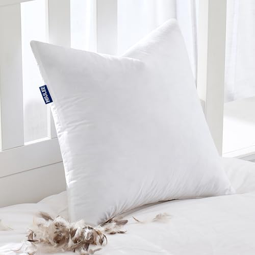 22x22 Pillow Insert (22x22 Inch)