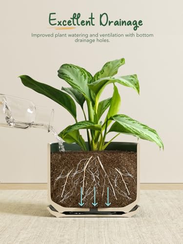 10 + 12 Inch Ceramic Plant Pots (Forest Green / 10"+12")
