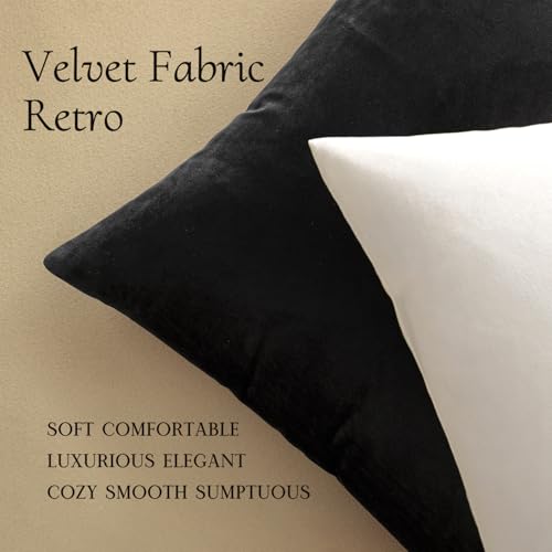 Velvet Throw Pillow Covers 12x12 Inch Pack of 2 Black (12" x 12" (Pack of 2) / Black)