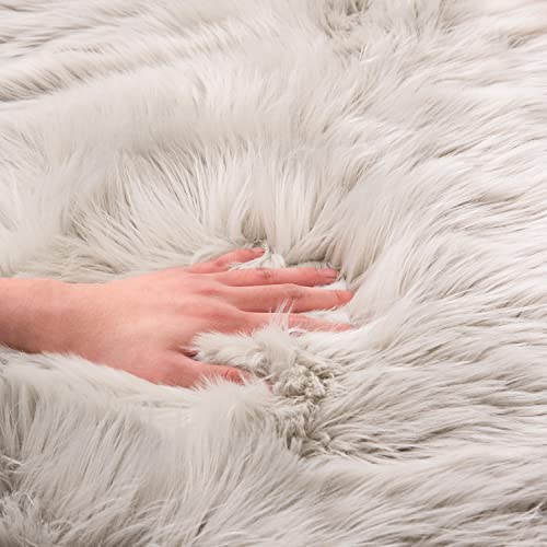 Ultra Soft Fluffy Shaggy Area Rug Faux Fur Rug Chair Cover Seat Pad Fuzzy Area Rug for Bedroom Floor Sofa Living Room (Light Grey / 2' x 4' (Sheepskin))