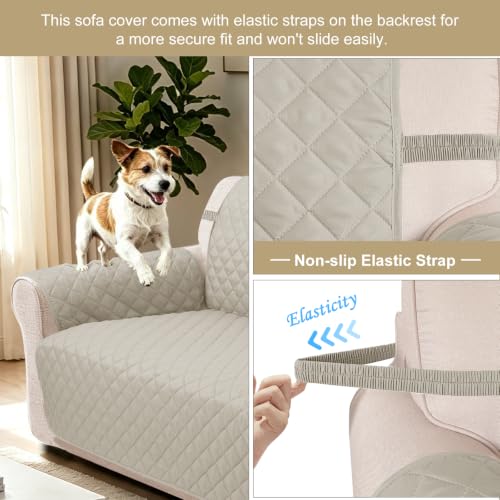 Loveseat Couch Cover for Dogs (Beige/Beige / Loveseat - Small (45"))