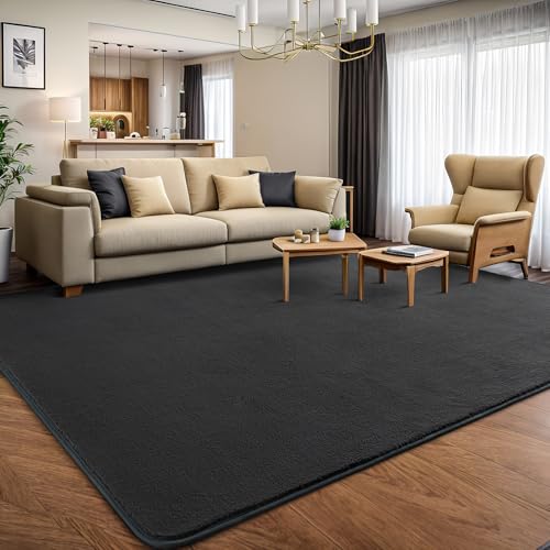 6x9 Area Rugs for Living Room Non Slip Dorm Bedroom Rug (6' x 9' (Rectangular) / Dark Grey)