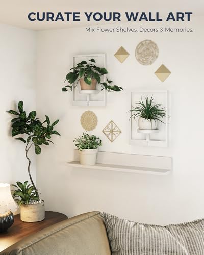 Wall Plant Holder Plant Stand Indoor Wall Planters White
