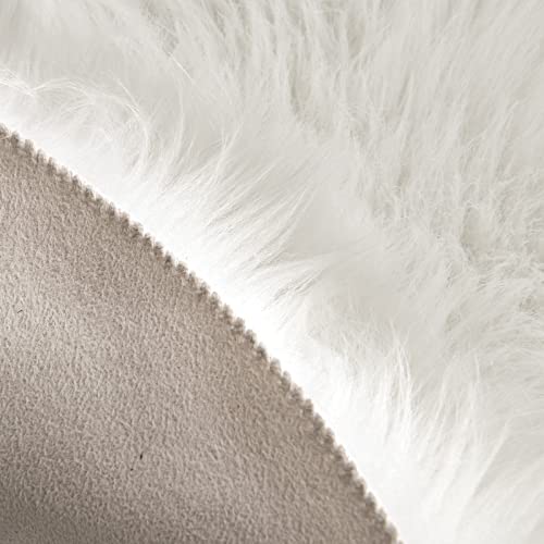 Fluffy Area Rug 2'x3' Cloud Faux Fur Sheepskin Rug for Bedroom White (2' x 3' (Cloud) / White)
