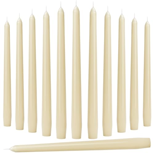 10 Inch Ivory Taper Candles (12-Ivory / 12 Pcs)