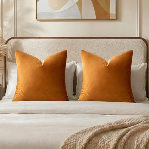 Orange Velvet Pillow Covers 26x26 Decorative Pillows Pack of 2 (Orange / 26" x 26" (Pack of 2))