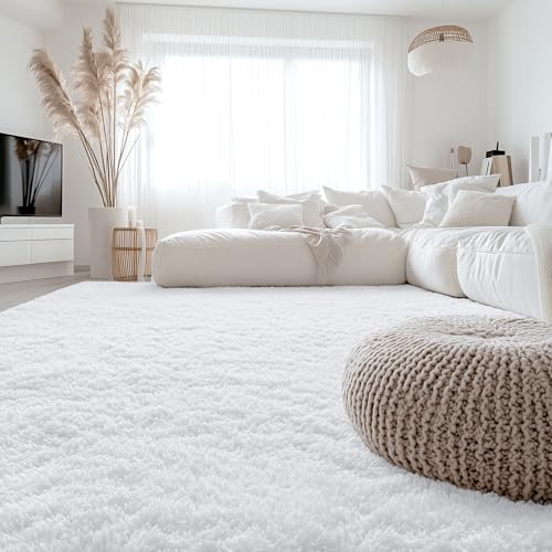 8x10 Machine Washable Large Area Rugs for Living Room (8x10 Ft / White)