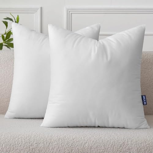 Pillow Insert 16x16 Inch Set of 2 (16x16 Inch)