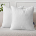 Pillow Insert 26x26 Inch Set of 2 (26x26 Inch)