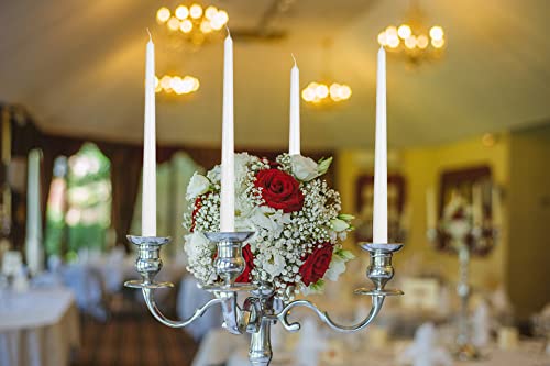 Tall Taper Candles (20 Inch)