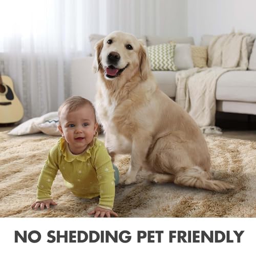 Area Rugs for Living Room (Cb Khaki 4sm03 / 4' X 6' (Rectangular))