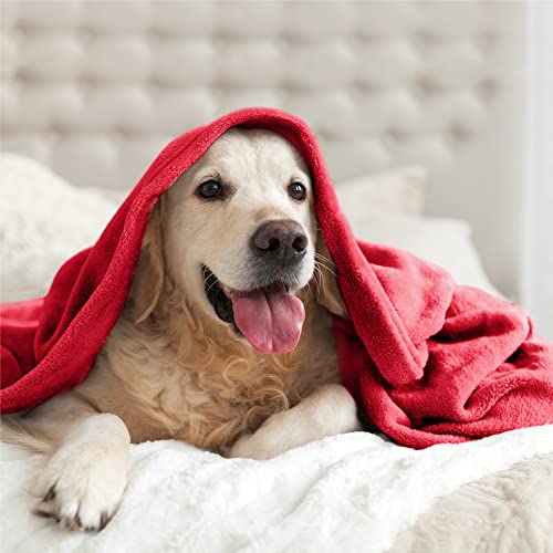 Fleece Blankets Queen Size Red Throw Blankets for Bed (Red / Queen(90"x90"))