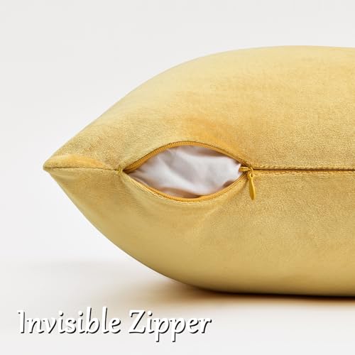 Yellow Velvet Pillow Covers 22x22 Decorative Pillows Pack of 2 (Yellow / 22" x 22" (Pack of 2))