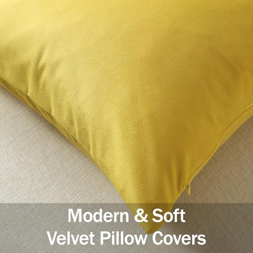 Lumbar Pillow Covers 12x20 Yellow (Freesia / 20" x 12" (Pack of 2))