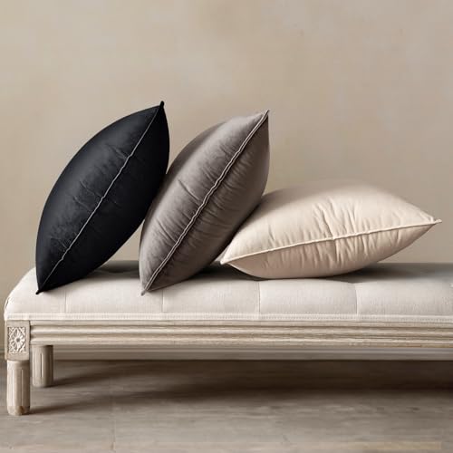 Decorative Black Velvet Throw Pillow Covers for Couch 22x22 Inch (22" x 22" (Pack of 2) / Black)
