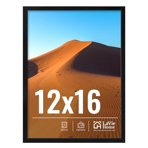 12x16 Picture Frame for Wall Display (Black / 12x16)