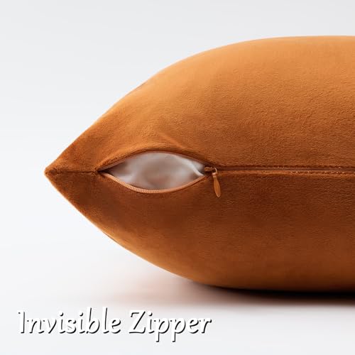 Burnt Orange Velvet Throw Pillow Covers 24x24 Pack of 2 (Dark Burnt Orange / 24" x 24" (Pack of 2))