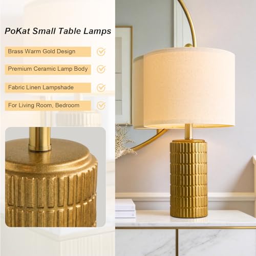 20.75" Brass Gold Ceramic Table Lamps Set of 2 for Living Room (Brass Gold)