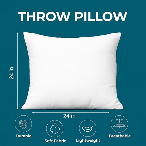 24x24 Throw Pillow Inserts Set of 2 (24x24 / 01: White)