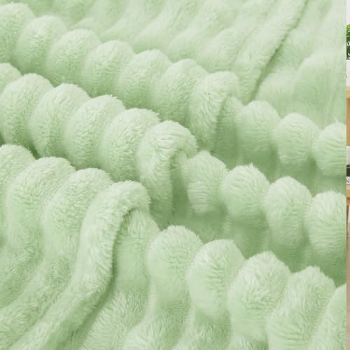 Cream Green Fleece Throw Blanket 50”×60” for Couch Sofa Livingroom (Cream Green / 50×60inch)