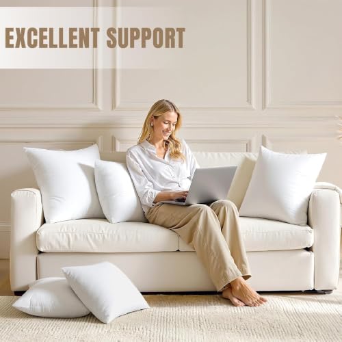 22x22 Inch Pillow Inserts Pack of 4 (22x22 Inch)