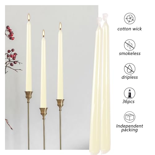 16 Pack Ivory Taper Candles (16 Ivory)