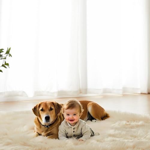 Faux Fur Sheepskin Rug for Living Room (4' x 6' (Rectangular) / Beige)