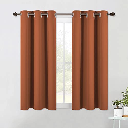 Modern Blackout Curtains Noise Reducing (Burnt Orange / 42"W x 54"L (Pack of 2))