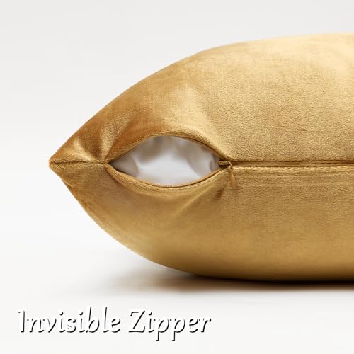 Golden Velvet Pillow Covers 12x20 Decorative Pillows Pack of 2 (Golden / 20" x 12" (Pack of 2))