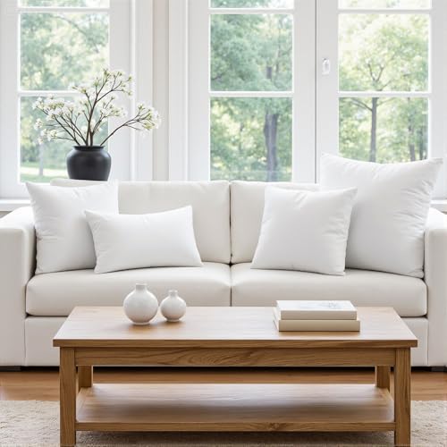 12x18 Inch Throw Pillow Insert for Couch Sofa Bed (12x18 Inch)