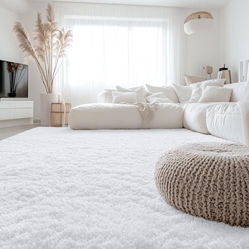 6x6 Area Rugs for Living Room Bedroom (6x6 Ft Square / White)