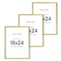 18x24 Gold Metal Picture Frames (Set of 03 / Gold Metal / 18x24 in)
