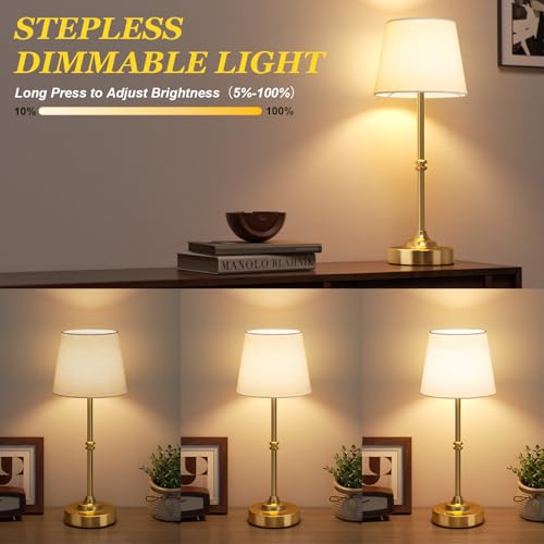 Rechargeable Cordless Table Lamp Gold (Brass / 2 Pack - 15.6in)