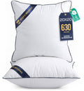 20x20 Throw Pillow Inserts (20x20 Inch)
