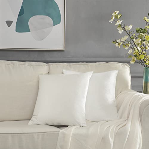 Ivory Velvet Decorative 18x18 Throw Pillow Covers for Sofa Bed 2 Pack Soft Cushion Cover (Rice Ivory / 18" x 18" (Pack of 2))