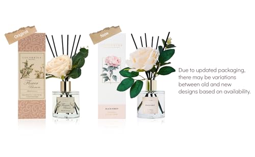Cocorrina Reed Diffuser Set (6.7 Ounce/1pack)