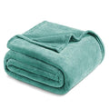 Soft Fleece Blanket Queen Size for Bed (Celadon / Queen (90" x 90"))