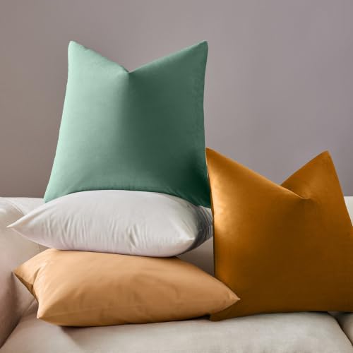 Decorative Pillow Covers Set of 2 Velvet Throw Pillow Covers for Couch Sofa Bed Soft Euro Cushion Covers Cases with Hidden Zipper for Living Room Home Decor 28x28 inch (Sage / 28" x 28" (Pack of 2))