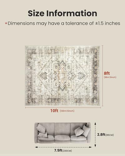Amada Large 8x10 Washable Area Rug for Living Room (8' x 10' (Rectangular) / Grey/Beige)