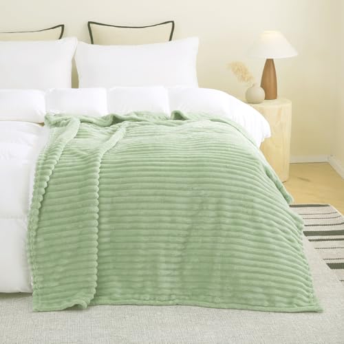 Cream Green Fleece Throw Blanket 50”×60” for Couch Sofa Livingroom (Cream Green / 50×60inch)