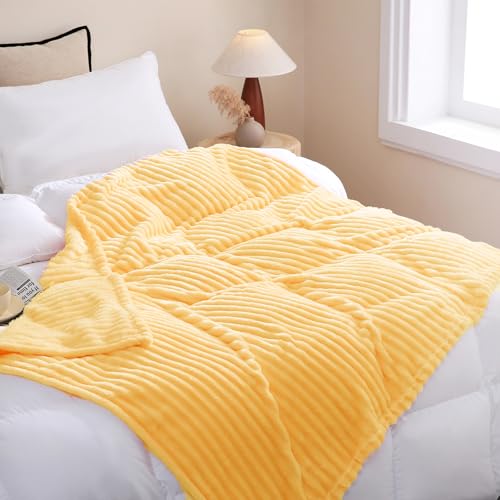 Light Yellow Fleece Throw Blanket 60”×80” for Couch Sofa Livingroom (Light Yellow / 60×80inch)