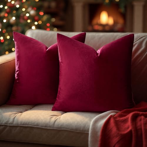 Burgundy Velvet Pillow Covers 20x20 Decorative Pillows Pack of 2 (Burgundy / 20" x 20" (Pack of 2))