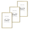 11x17 Gold Metal Picture Frames (Set of 03 / Gold Metal / 11x17 in)