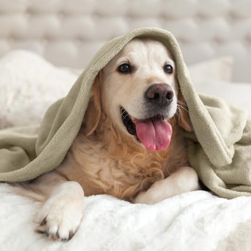 Fleece Blanket Soft Plush Throw for Couch Oatmeal 50"x60" (Oatmeal / Throw(50"x60"))