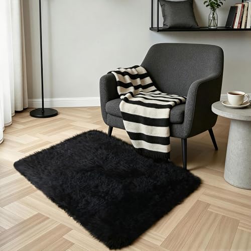 Black Fluffy Shag Rug (Black / 2' x 3' (Rectangular))