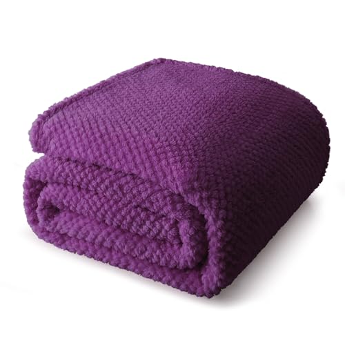 Soft Fleece Twin Size Bed Blanket (Purple / Twin(60x80 In))