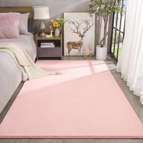 Modern Area Rugs for Bedroom Living Room (4' x 6' (Rectangular) / Pink)