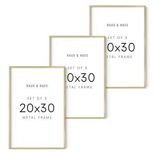 20x30 Gold Metal Picture Frames (Set of 03 / Gold Metal / 20x30 in)